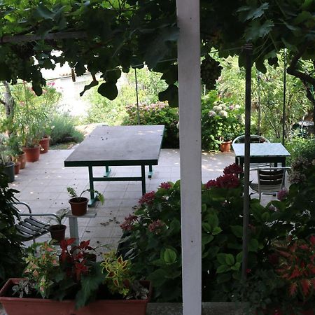 Villa Katarina Losinj Island Mali Lošinj Kültér fotó