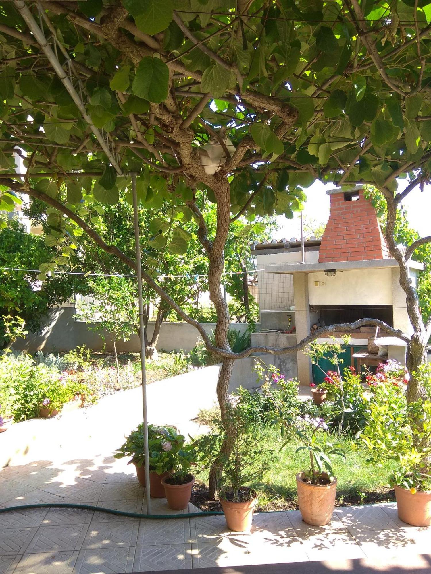 Villa Katarina Losinj Island Mali Lošinj Kültér fotó