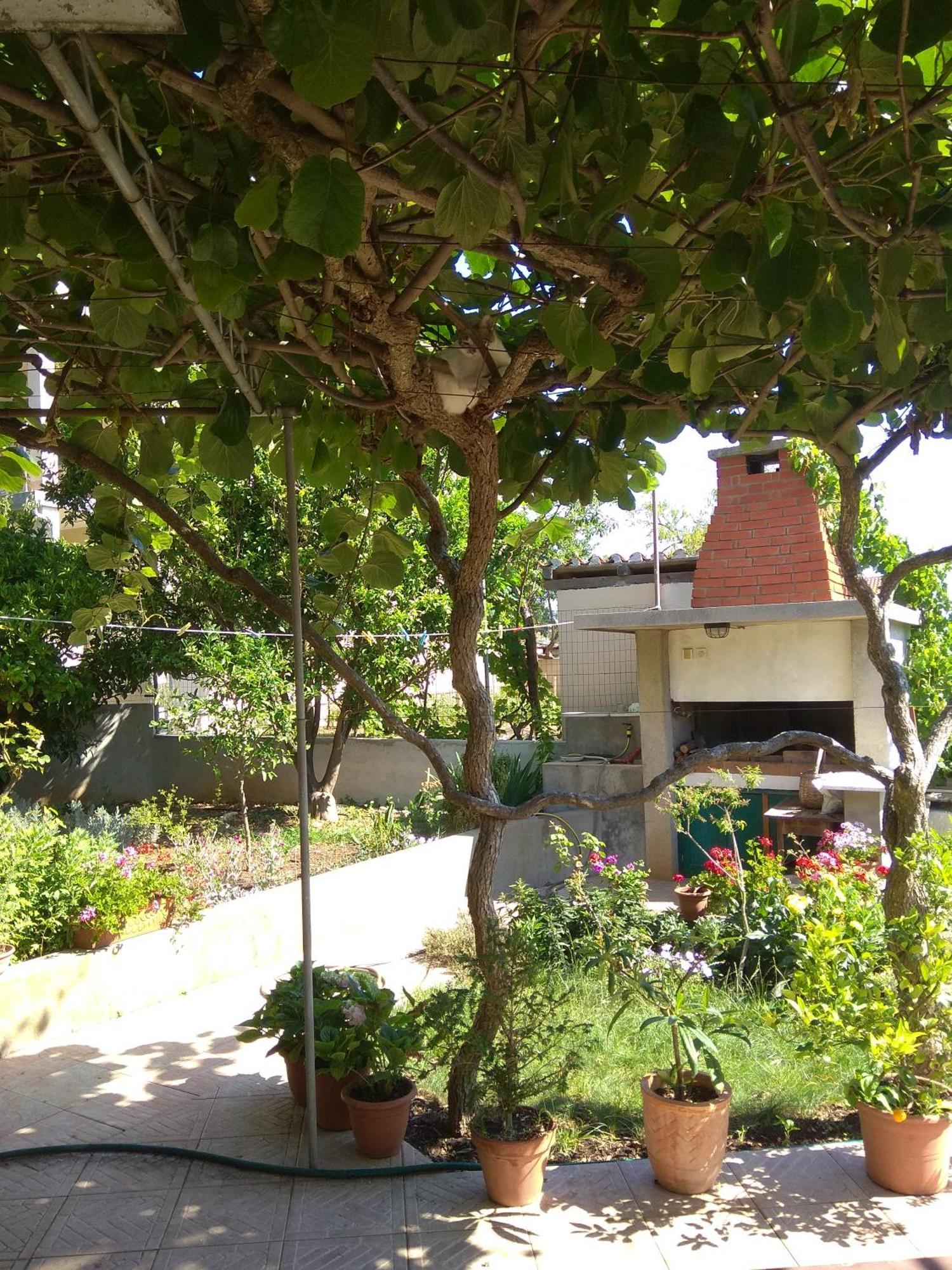 Villa Katarina Losinj Island Mali Lošinj Kültér fotó