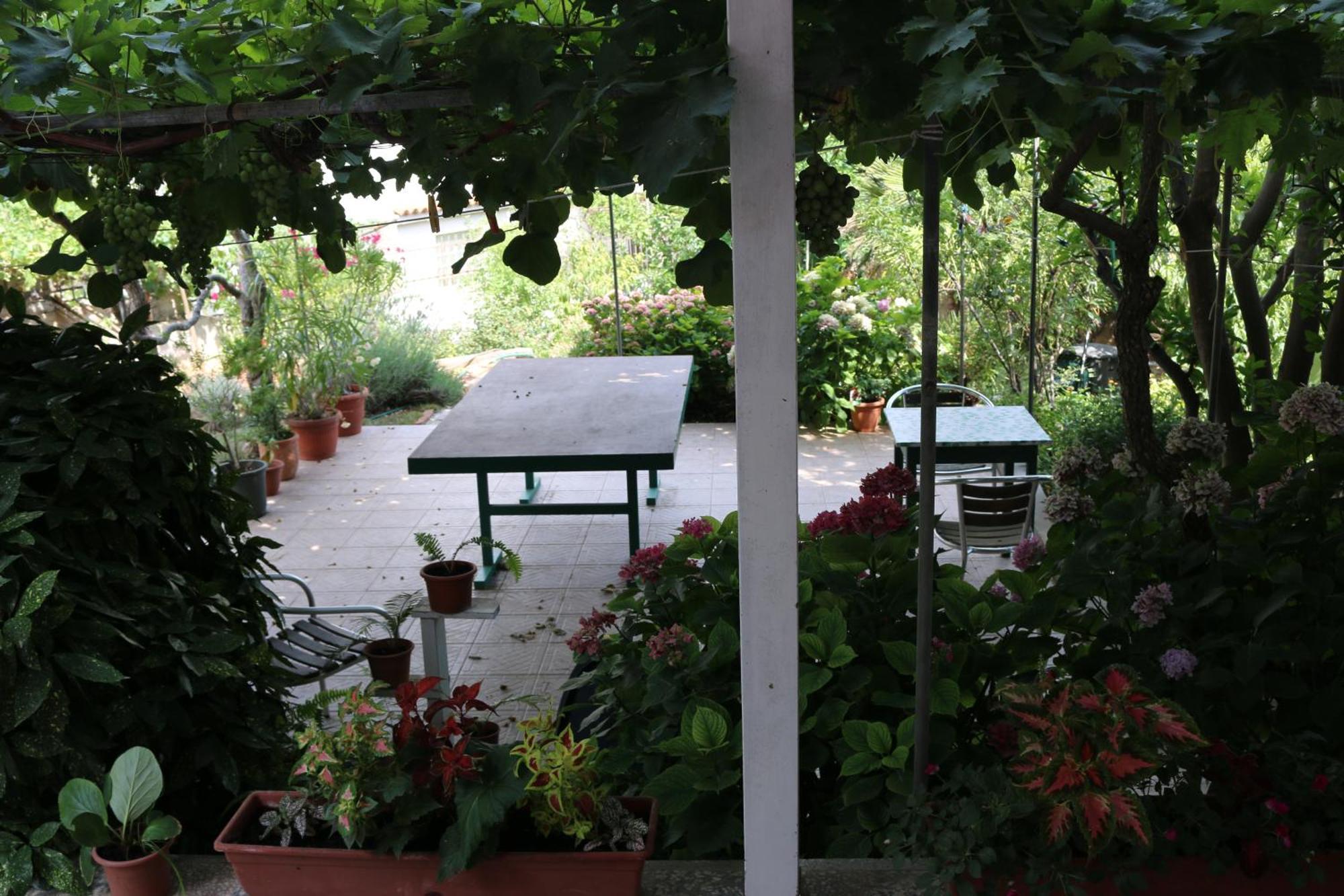 Villa Katarina Losinj Island Mali Lošinj Kültér fotó