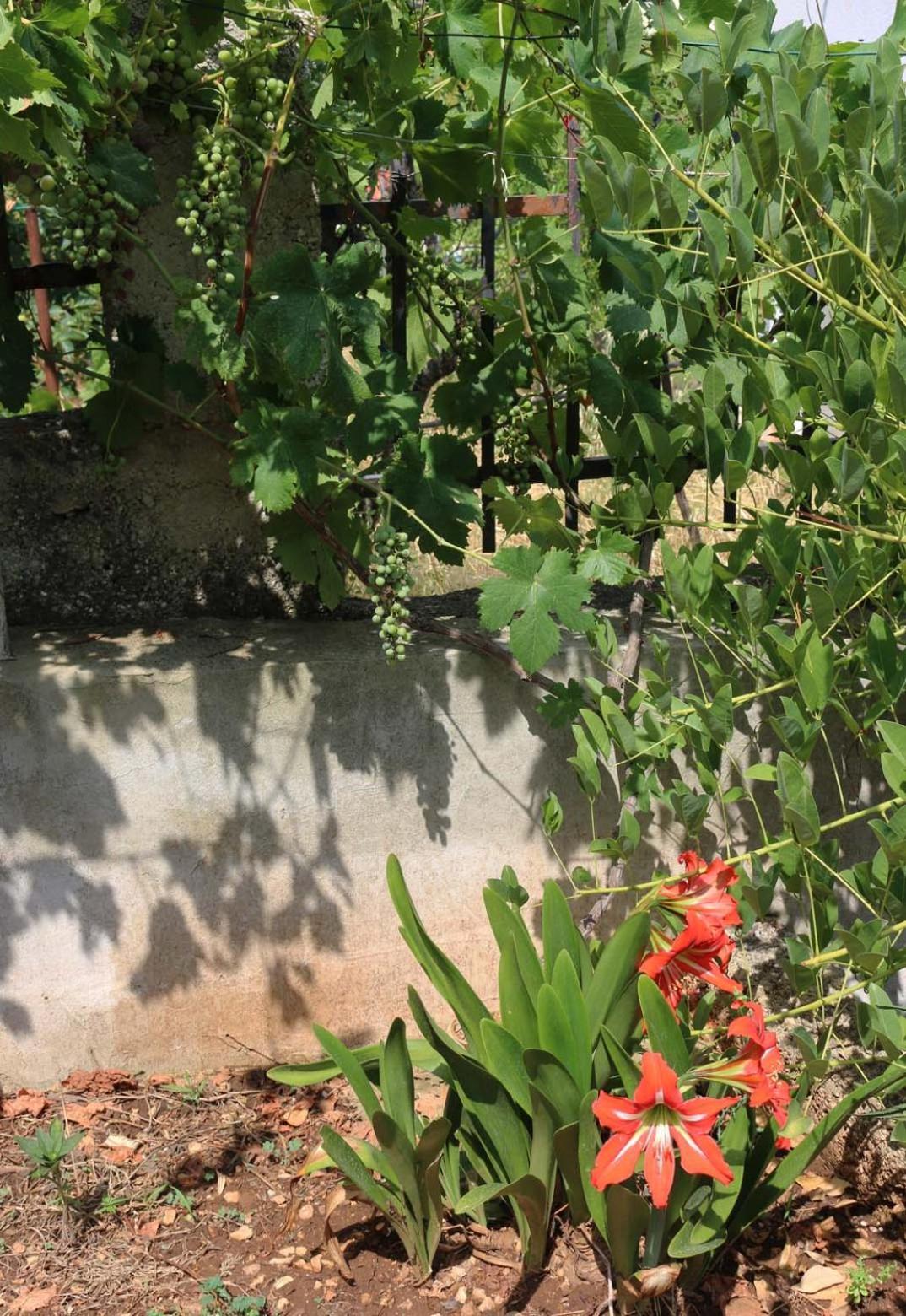 Villa Katarina Losinj Island Mali Lošinj Kültér fotó